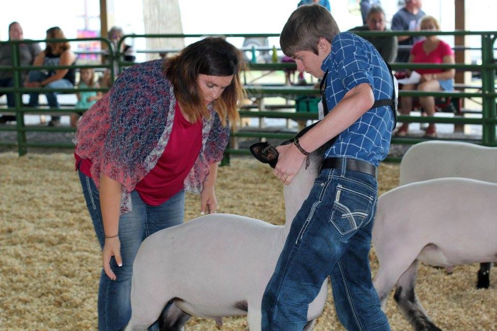 Stevie Hook, Supreme Showmanship 2016